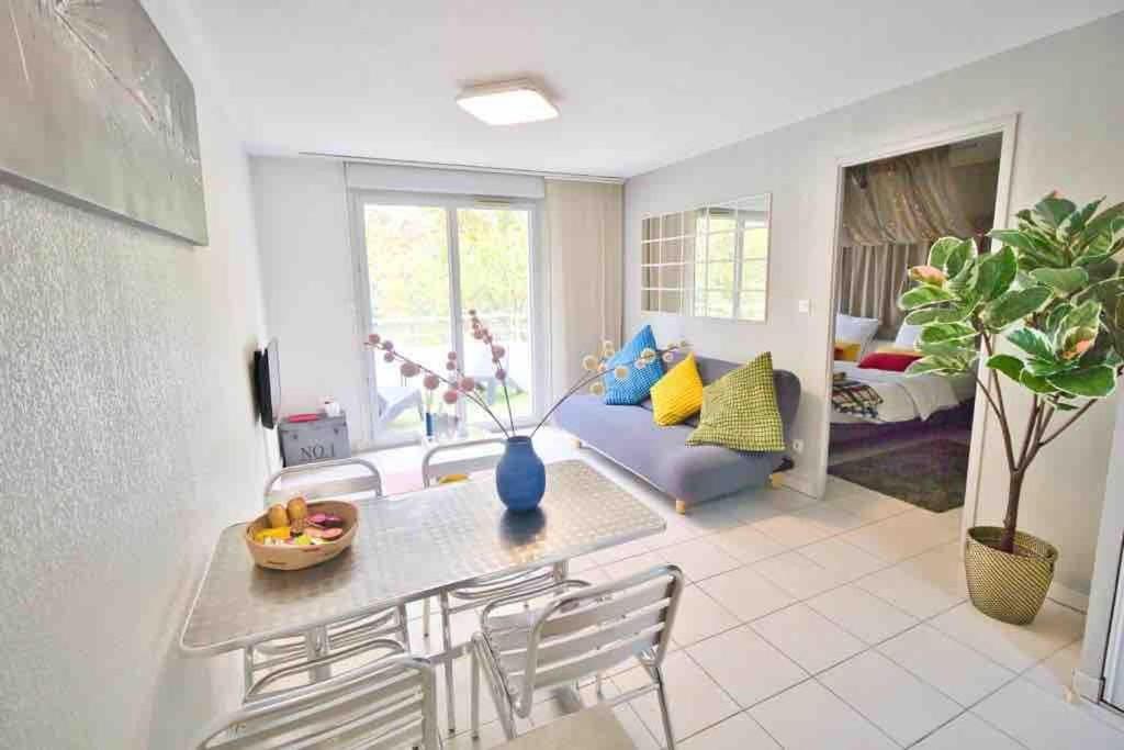 *t2*vue Garonne*piscine*garage* Toulouse