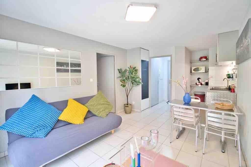 *t2*vue Garonne*piscine*garage* Apartment Toulouse