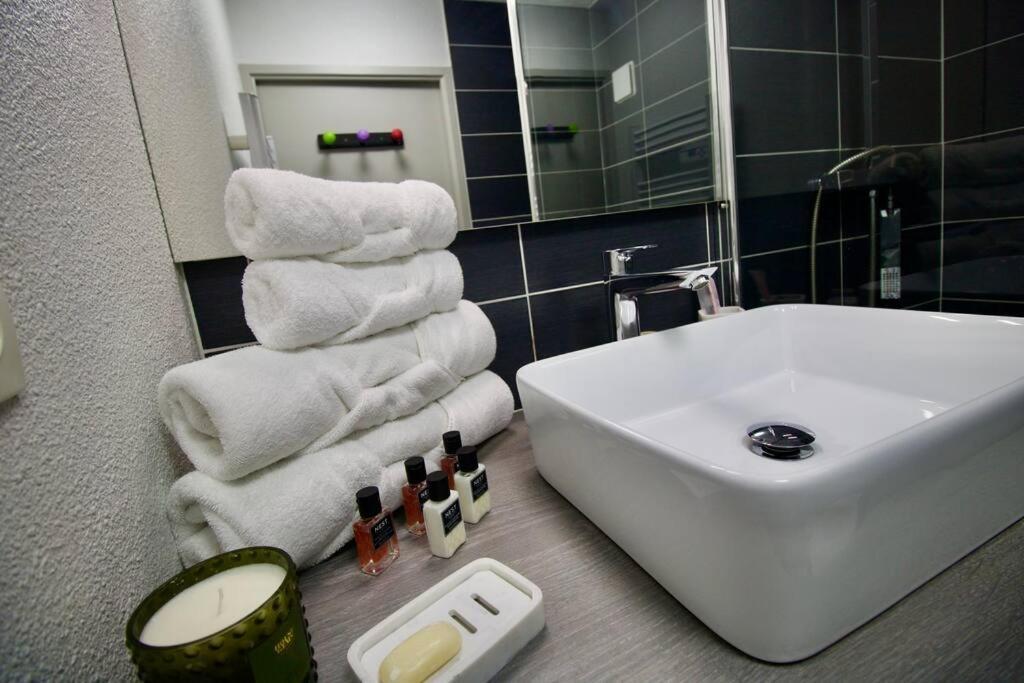 *t2*vue Garonne*piscine*garage* Toulouse